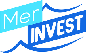 logo Mer Invest copie
