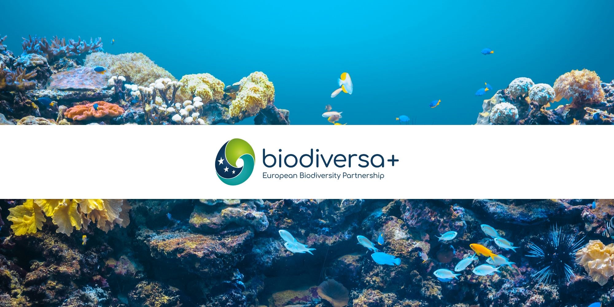 Appel à projet Biodiversa +