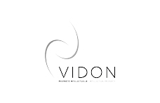 Vidon