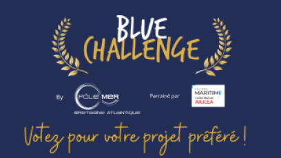 Blue Challenge 24