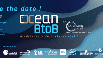 Ocean B2B 24