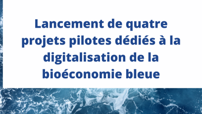 webinaire projets pilotes