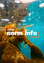 norminfo