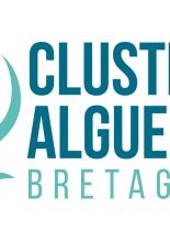 cluster algues