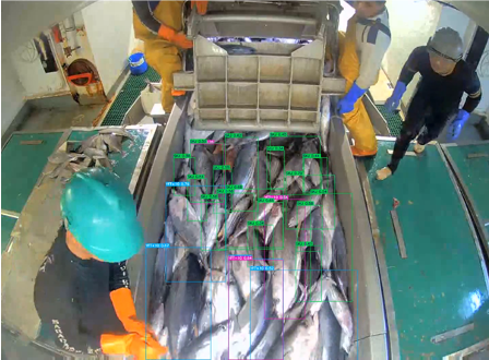 4390726F32B2468186D364B7129A1BF4_projet sirceo.png