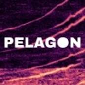 20D91272C144412D842353E1EA96622D_PELAGON LOGO.jpg