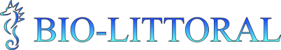300_12968_23072024031243.png