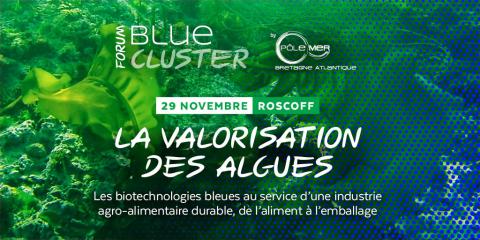 291551_ForumBlueCluster_ReseauxSociaux_Twitter.jpg