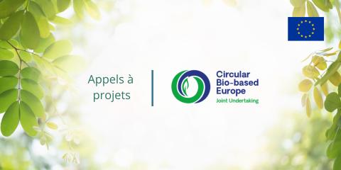 Bannières_Site_internet_PMBA_-_CBE_ju_2024.jpg