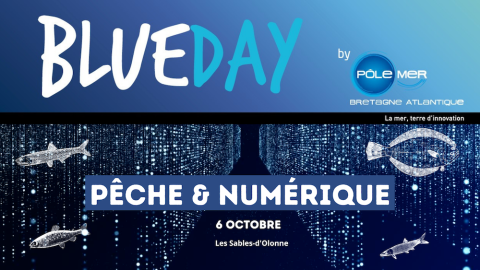Blue_Day_Peche__Numerique_copie.png
