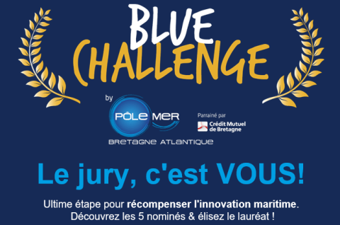Blue_challenge_votez.PNG