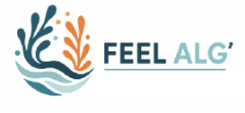 logo feel alg'