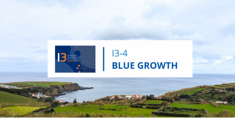 Blue Growth - Kick off