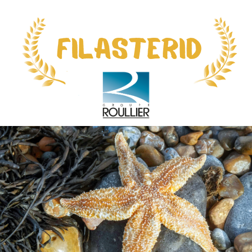 Filasterid