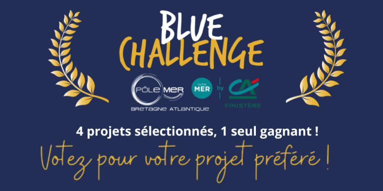Blue Challenge