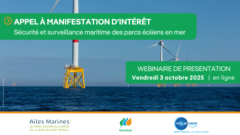 ami iberdrola webinaire