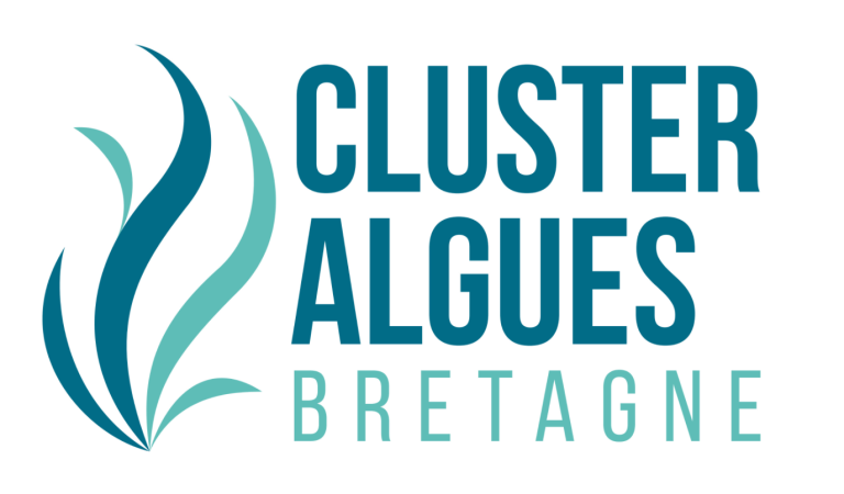 Cluster algues 